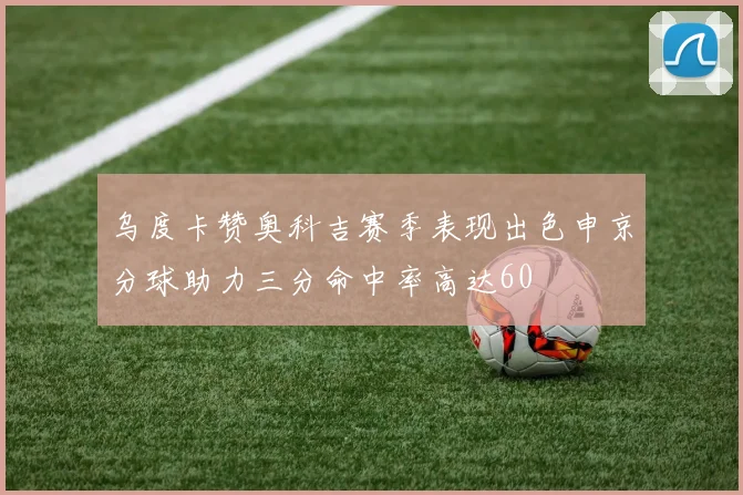 乌度卡赞奥科吉赛季表现出色申京分球助力三分命中率高达60