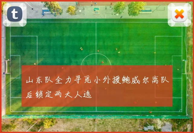山东队全力寻觅小外援鲍威尔离队后锁定两大人选